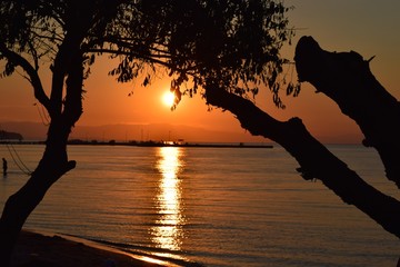 Summer sunset through branches of a tree in Greece