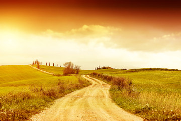 Fototapeta premium Autumn background of Tuscany 