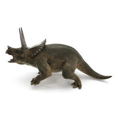 Triceratops dinosaur on white. 3D illustration