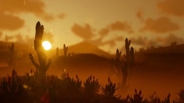 Saguaro Cactus in Desert against beautiful Morning Sun, panning