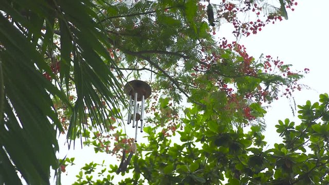 Wind bell hanging on tree in summer garden. Feng shui wind chime on branches of tree. Feng shui symbol concept.