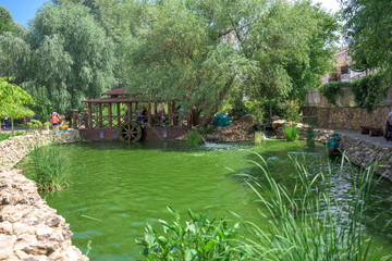 artificial pond with natural stone and willow trees