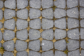 Obraz premium Gray paving stone background