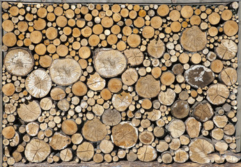 Woodpile. A log of the different size