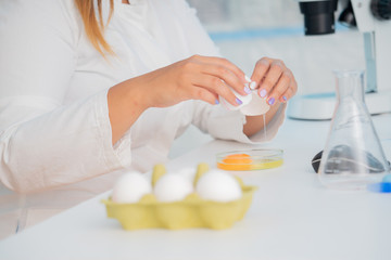 Obraz na płótnie Canvas Eggs in quality inspection lab