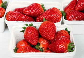 Freshly harvested strawberries in at market.