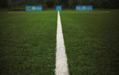 Fresh Grass of a Soccer Yard