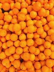 a lot of oranges 