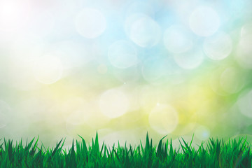 Bokeh Wallpaper and Grass Blue, yellow and green