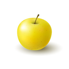 Isolated realistic colored yellow apple. Whole juicy fruit with shadow on white background.