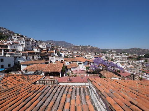 Rooftop And Cityscape Landscape Of Historical Taxco City With Jacaranda Tree In Mexico