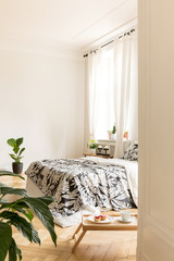 View through an open door to an interior of a high ceiling bedroom with a bed, a breakfast table and plants. Real photo. Copy space white wall.