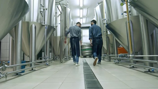 Rear view of two workers in uniform walking along rows of brewing vessels in beer plant, speaking and carrying keg together