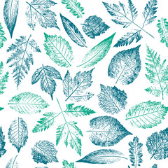 Fototapety  Abstract botanical pattern. Seamless print composed of blue and green stamps of leaves of tree and bush on white background. Bright colorful background.
