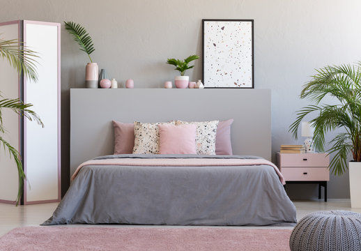 Poster on grey headboard of bed in grey and pink bedroom interior with plants. Real photo