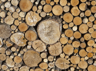 Woodpile. A log of the different size