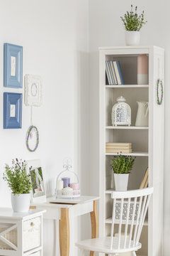 Real photo of a white living room interior with  desk, chair, shelf and plants
