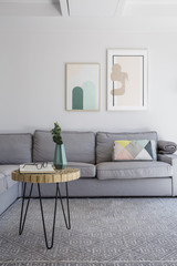 Plant on table on grey carpet in living room interior with poste