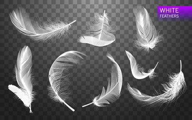 Set of isolated falling white fluffy twirled feathers on transparent background in realistic style. Vector Illustration © irkus