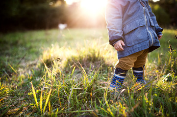 A little toddler boy standing outdoors on a meadow at sunset. Rear view.