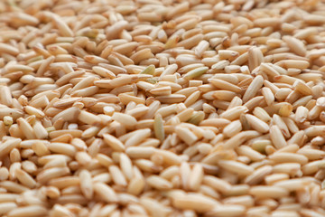 Raw brown rice. top view food background texture