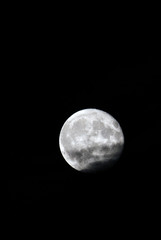 lune