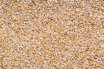 Barley seeds background