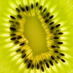 Close up texture background Kiwi fruit