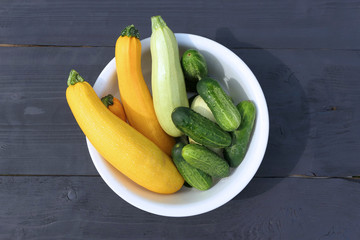 Summer squashes and cucumbers harvest