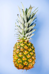 Fresh whole pineapple on bright blue yellow background copy space