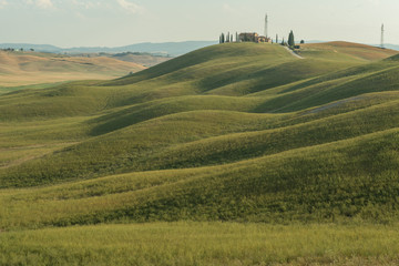 tuscany green hills