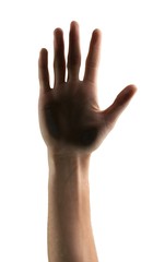Fototapeta premium Raised Hand / Five Fingers