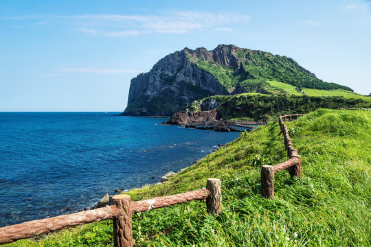 Grassfields and fence with view over ocean and Ilchulbong in the background, Seongsan, Jeju Island, South Korea