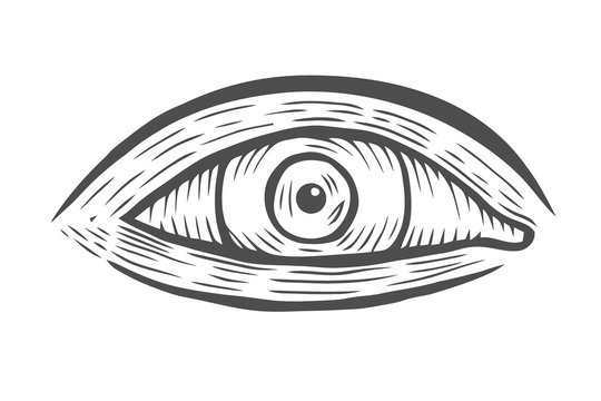 illustration of human eye