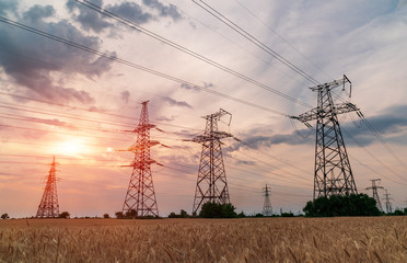 Power transmission line in the field