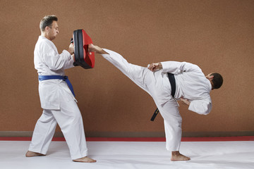 Two athletes train a kick on the simulator