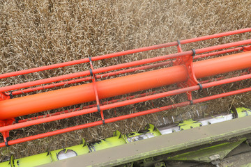 Harvester removes wheat field. View from the height of the combine