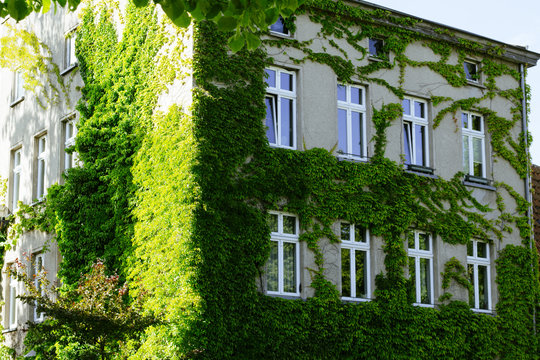 City Details of Stralsund/Germany