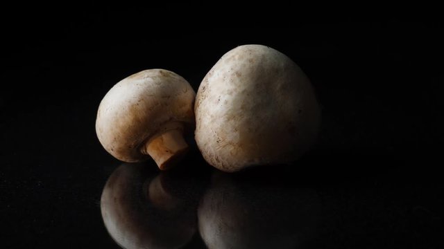 Close up of delicious white mushrooms on black background. Frame. The concept of proper nutrition