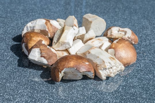 Frisch gesammelte Steinpilze werden geputzt und in Scheiben geschnitten, Deutschland