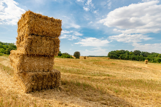 Paysage de campagne sur un champ fraichement coup&eacute; avec des ballots de paille en premier plan et un ciel bleu