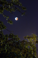 Moon eclipse in full moon. Super blue blood moon in July 27, 2018, Belarus