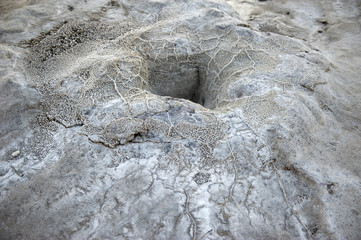Crater detail, Geyser del Tatio, Chile