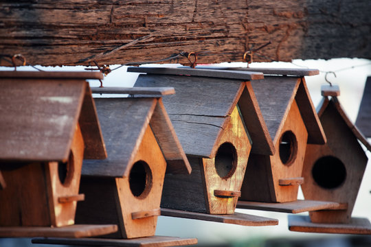 garden of wooden bird house background