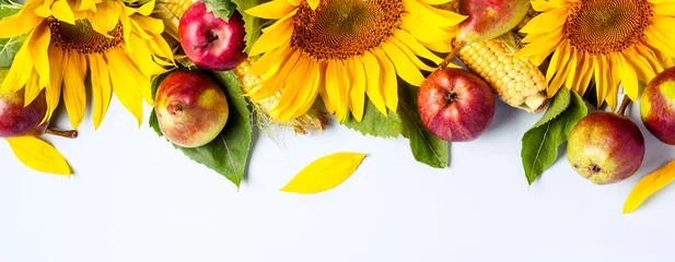 Photo sur Plexiglas Légumes frais Fond d& 39 automne. Bordure de tournesol, maïs et poires. Concept de vacances de récolte