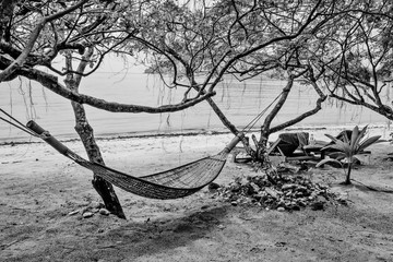 Hammock in the shade of a tree on a beach