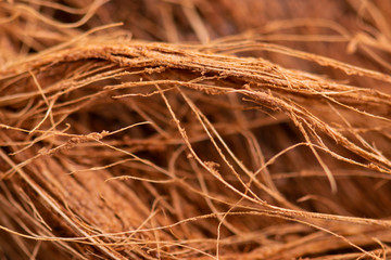 coconut, background, brown, horizontal, strip