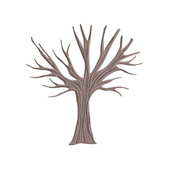 tree autumn without leafs icon vector illustration design