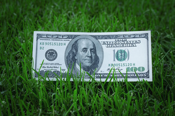 American dollars in the grass
