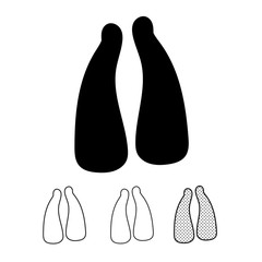 Animal footprint Icon Vector